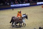 Quadrille - 00114